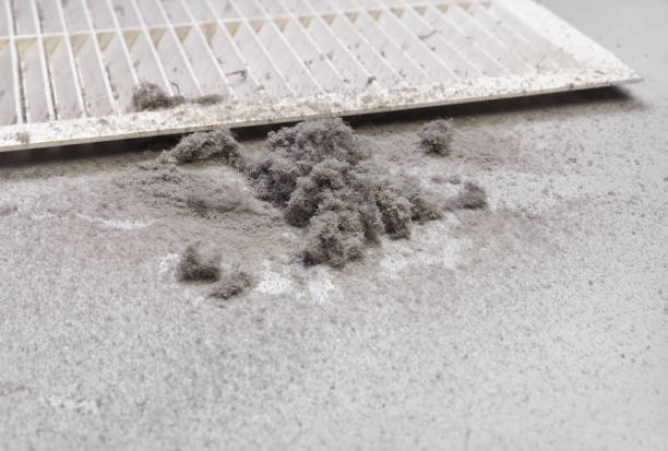 Best Air Duct Cleaning Near Me  in Onawa, IA